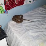 whatsapp-image-2019-07-05-at-09