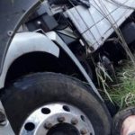 PhotoGrid_15653135255442-696×430