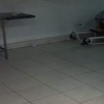 portaldoholanda-944040-imagem-foto-1amazonas