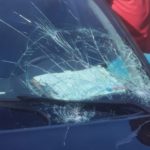 IMAGEM_NOTICIA_0-2019-11-03T103310.746