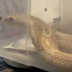 D8098871-A00D-4947-AD12-60B4BC069B92