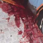 F8BC6542-3A75-4769-9AE3-ED7372F15B8C-696×452