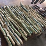 DB402C1C-E67F-469C-8C08-969769B107D1