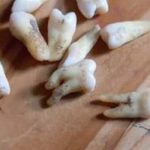 326213-IMAGEM_NOTICIA_0