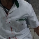 collage_Jxh20Mm_widelg