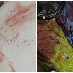 F22F51A2-AB30-4ECB-BA8D-8A1A18E0ABF4