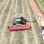 Producao-agricola-transforma-cenario-do-Oeste-da-B0126244000202403142129-ScaleDownProportional