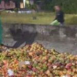 Caminhao-carregado-de-frutas-tomba-na-BR-324-e-bloqueia-duas-pistas-sentido-Salvador-696×4701-1