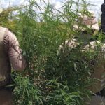 WhatsApp20Image202025-11-0920at2013.39.161